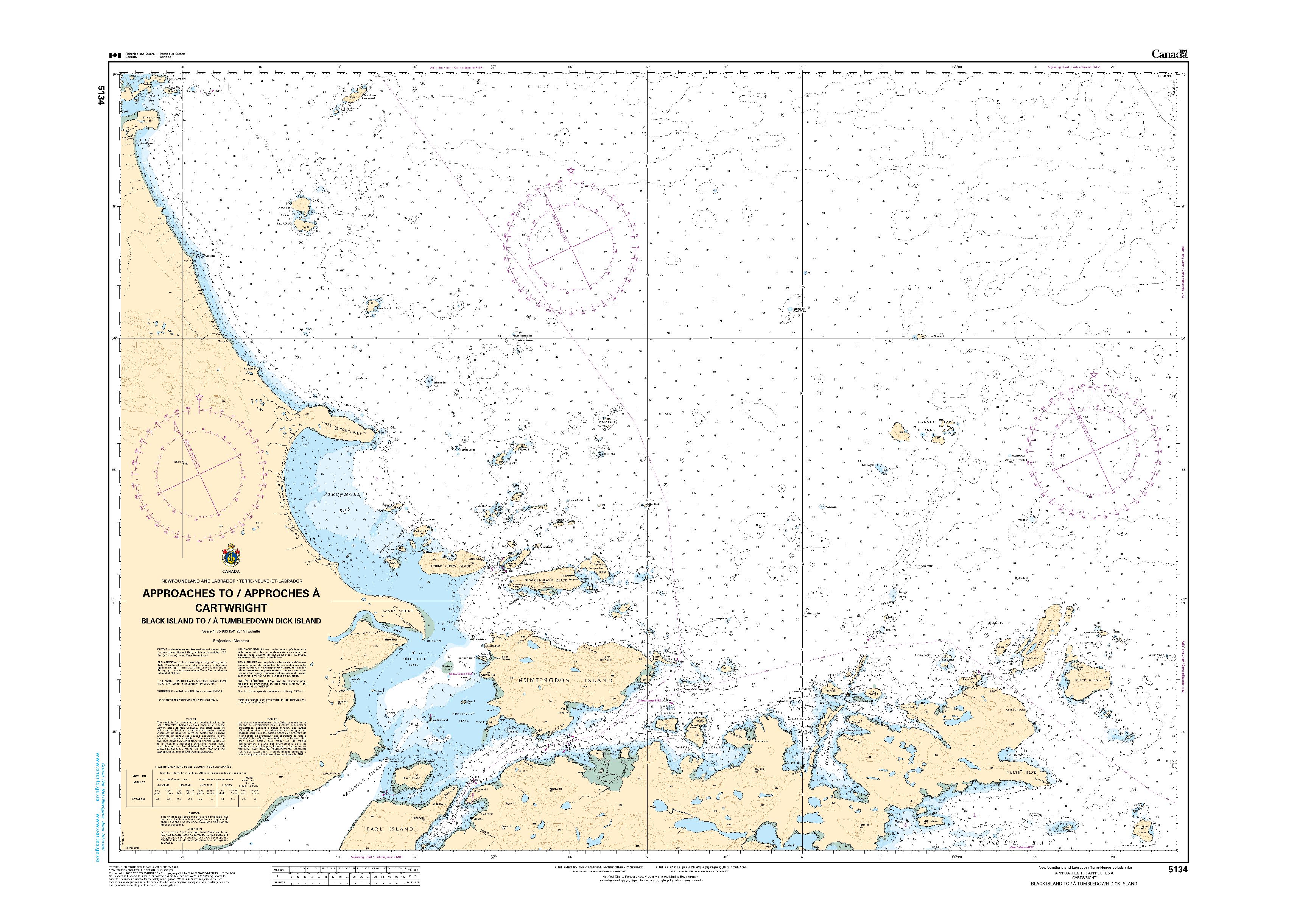 Approaches to Cartwright, Black Island to Tumbledown Dick Island | Carte SHC 5134