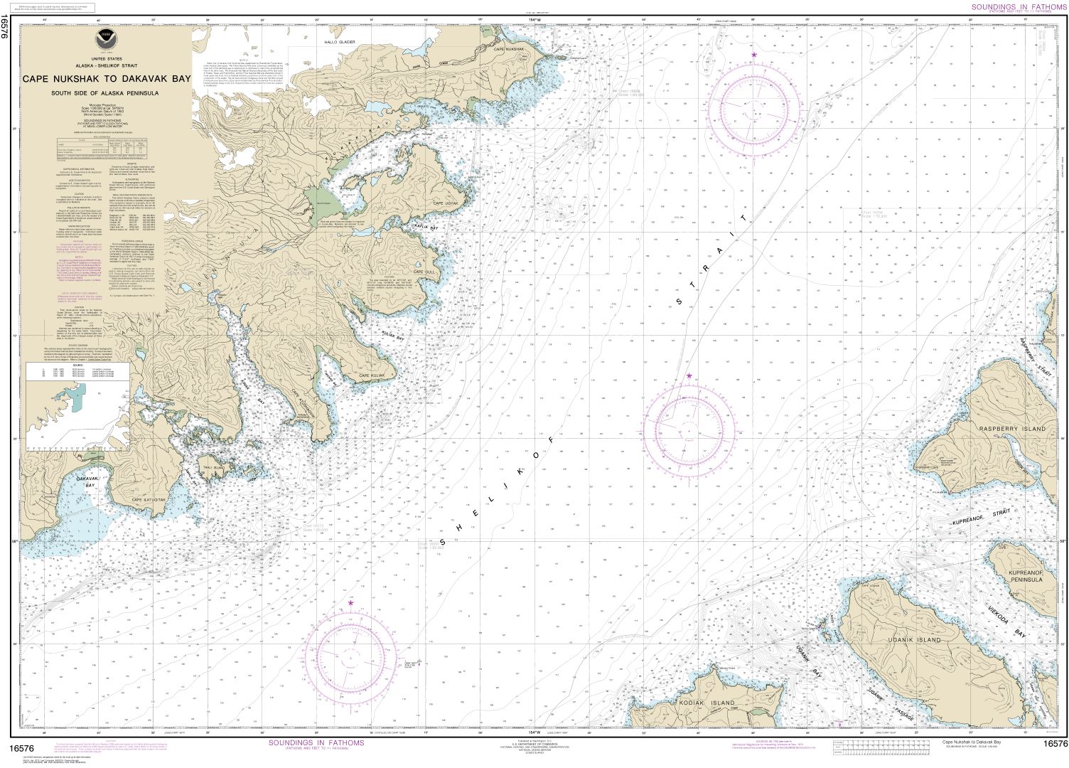 Shelikof Strait-Cape Nukshak to Dakavak Bay | NOAA Chart 16576