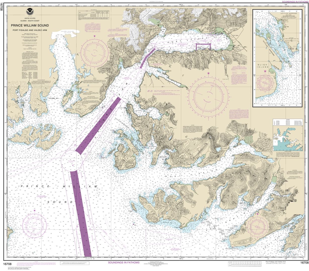 Prince William Sound-Port Fidalgo and Valdez Arm;Tatitlek Narrows | Carte NOAA 16708